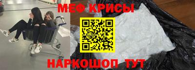 стаф Заводоуковск