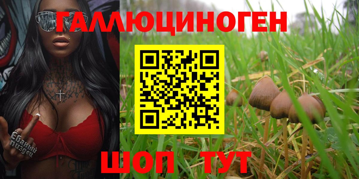 Псилоцибиновые грибы мухоморы  Вход с VPN  Домодедово 